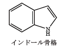 解説画像